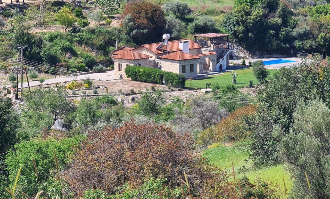 Gaia Residence, Peristerona, Polis Chrysochous Pafos Exterior foto